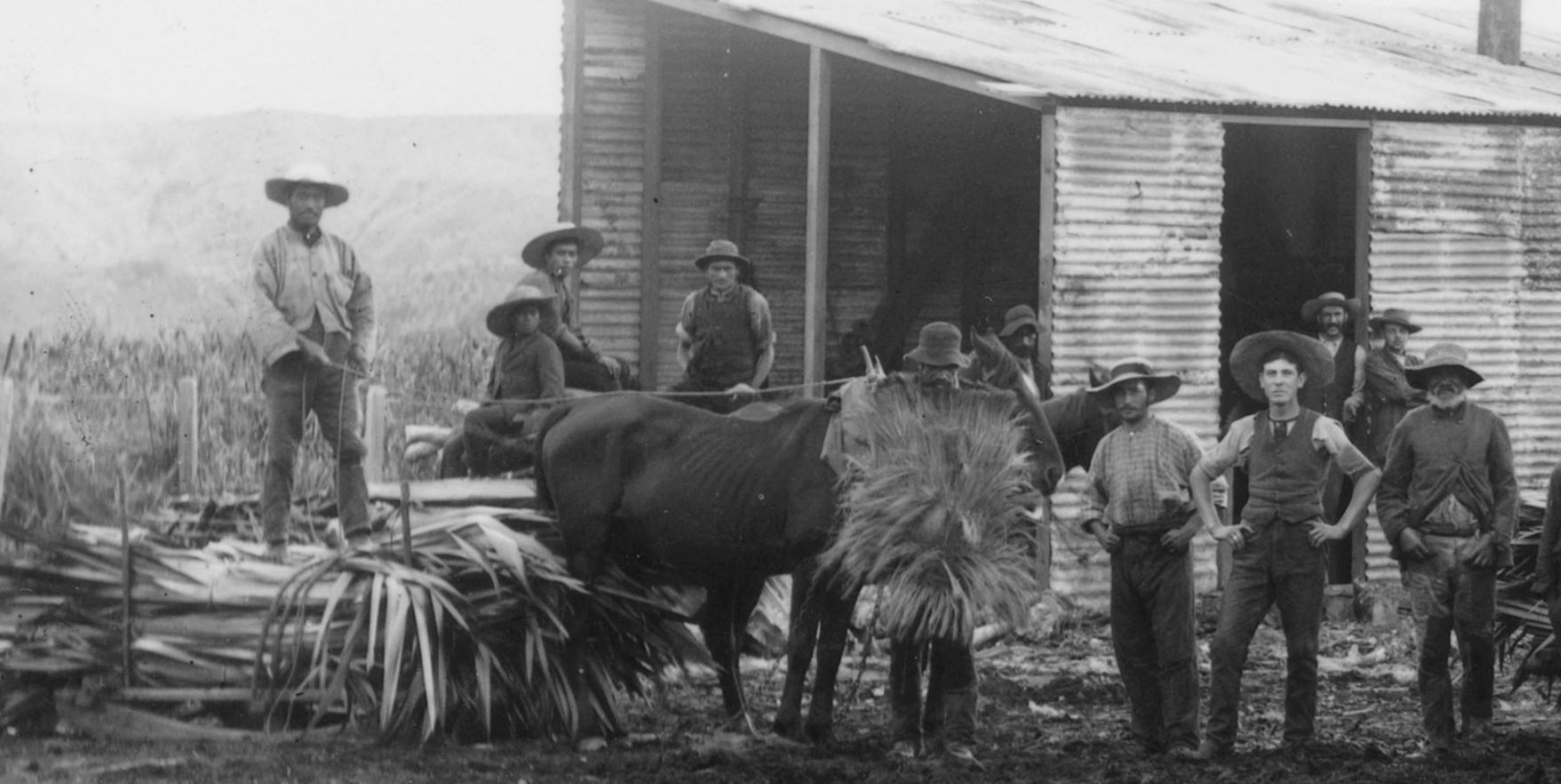 Hopkirk Brothers 1889 Flaxmill left side of photo