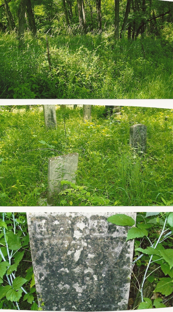 Hopkirk Cemetery 2012