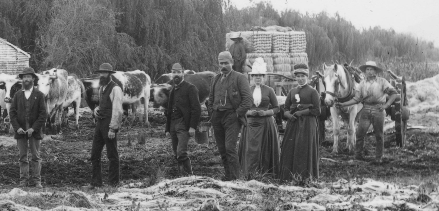 Hopkirk Brothers Flaxmill 1889 right side